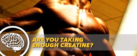 Are You Taking Enough Creatine Generation Iron