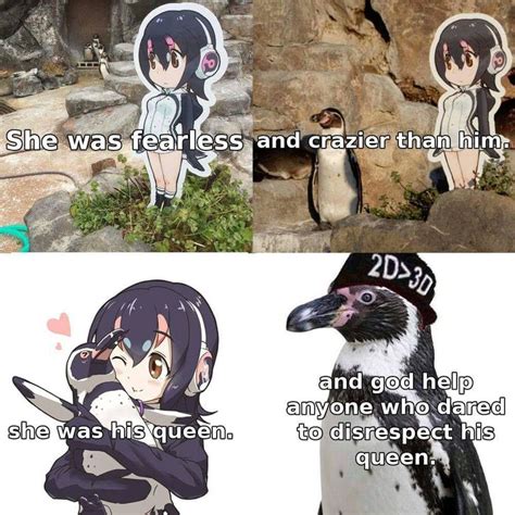 Penguin Girl Anime Anime Life Kemono Friends