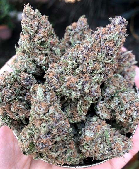 Cherry Punch Order Weed Online Get Cannabis Delivery And Pickup