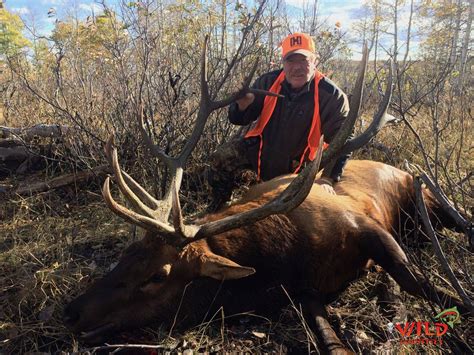 Deseret Cwmu State Bull Elk Hunt — Wild Country Outfitters