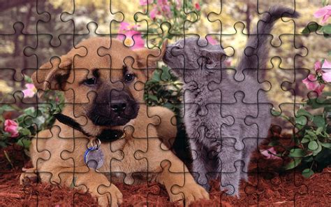 96 Best Ideas For Coloring Free Wildlife Jigsaw Puzzles
