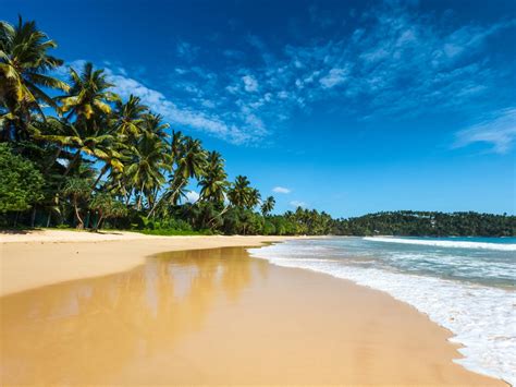 Top Things To Do In Sri Lanka According To Travel Guides Escape