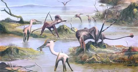 The Cretaceous Skies Were Dominated By Tiny Pterosaurs Assignment Point