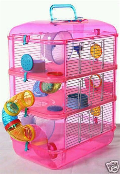 What kind of pets can you buy at petsmart? Pin on hamster