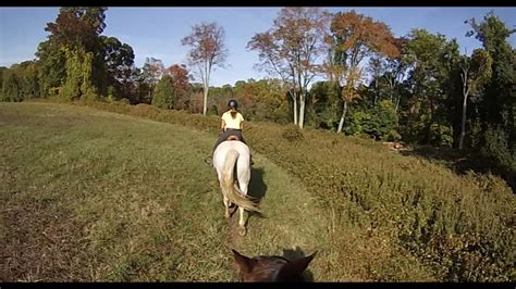 Gopro Horseback Riding Fall Trail Ride At Lancaster Equestrian