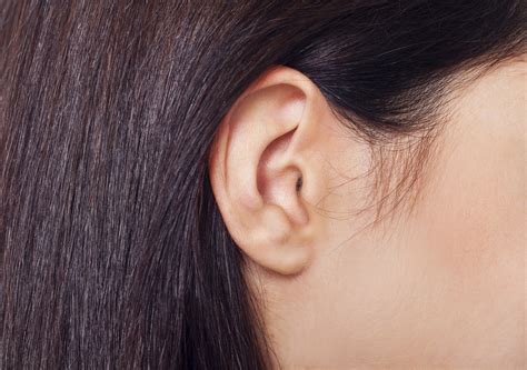 Outer Parts Of The Ear