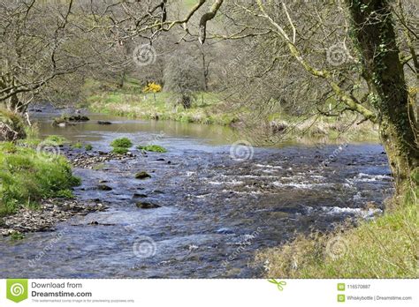 River Barle Exmoor Stock Image Image Of Wetland Woods 116570887