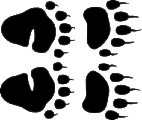 Bear Paw Prints Free Download On Clipartmag
