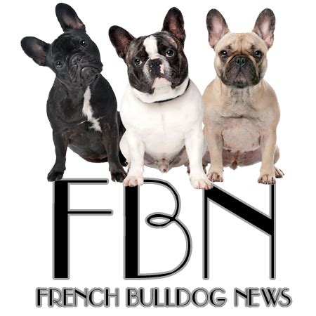 French bulldog bul dog rescue me holding sign adoption cartoon custom t shirt. Ohio French Bulldog Rescue - Home | Facebook