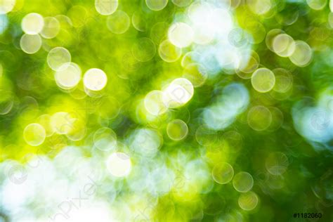 Green Bokeh Background From Nature Forest Stock Photo 1182060
