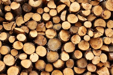 Free Download Firewood Background High Quality Nature Stock Photos