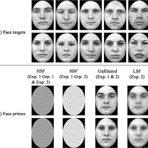 panel a male and female face targets panel b face primes from download scientific