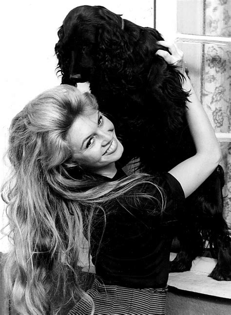Brigitte bardot photographed by bill ray during the making of shalako (1968) in spain. Brigitte Bardot (met afbeeldingen) | Actrices, Fotografie ...