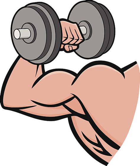 Cartoon Of Bicep Curl Illustrations Royalty Free Vector Graphics