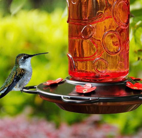 Glass Hummingbird Feeders For Outdoors Wild Bird Feeder With Etsy