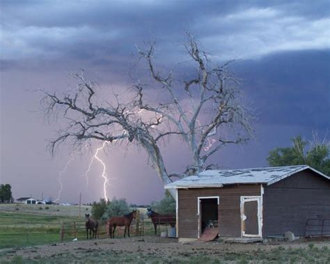 Country Horses Lightning Storm Ne Boulder County Co Crop By James Bo