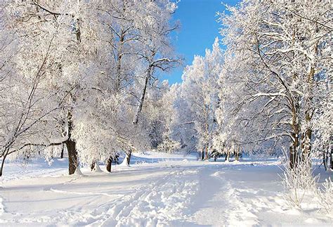 Greendecor Polyster Winter Backdrops For Photo Studio White Frozen Snow
