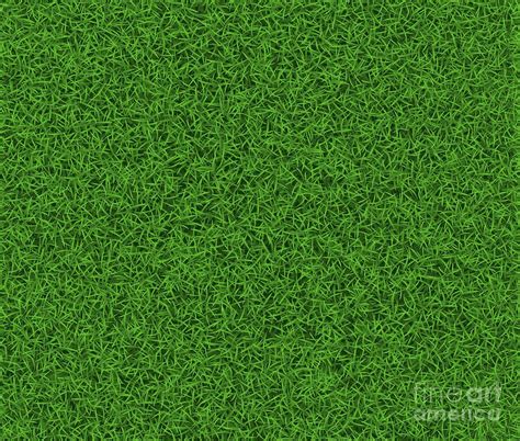 Green Grass Digital Art By Croarte