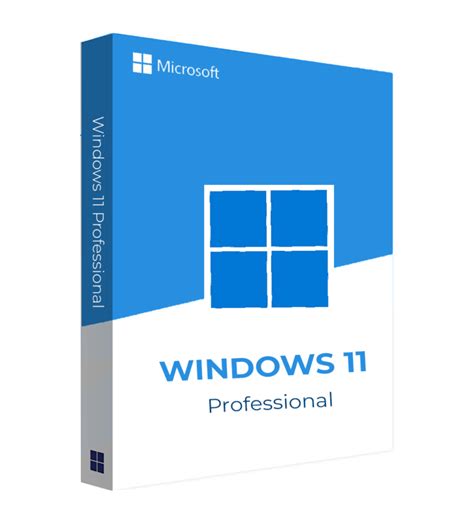 Microsoft Windows 11 Professional Ermedic