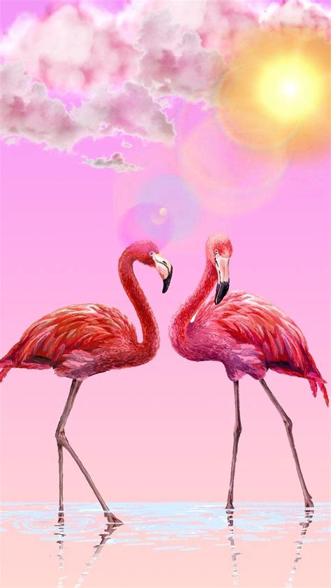 Úallper Imagens De Flamingo Papel De Parede Flamingo Flamingo Papel