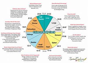 Healthy Wealth Chinese Body Clock