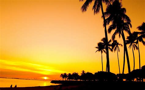 Sunset Palm Beach Wallpaper 2560x1600 32113