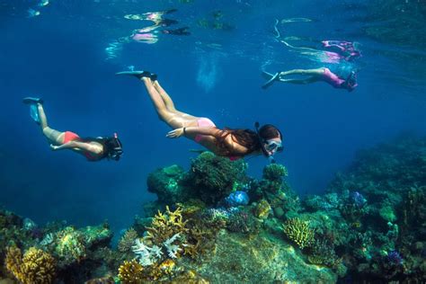 Tripadvisor Nadi Tivua Island Day Cruise Inclusief Snorkelen En Bbq