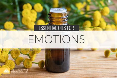 Essential Oils For Emotions Diy Oil Recipes Elevays