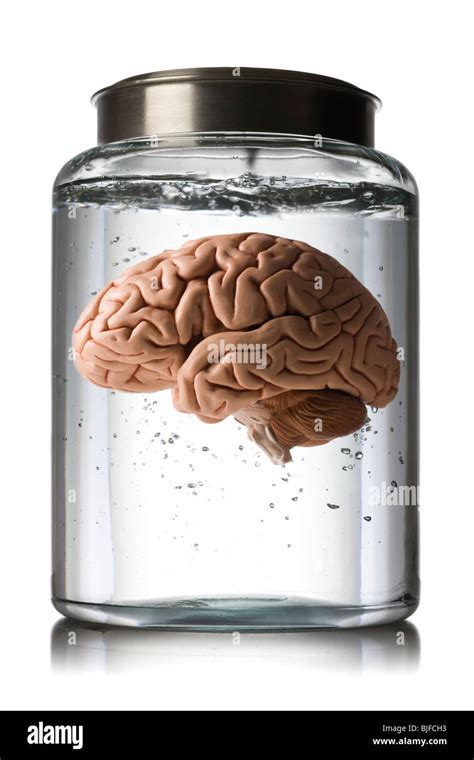 Brain In Jar Hi Res Stock Photography And Images Alamy