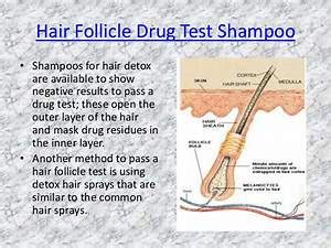E7 health offers hair follicle testing in drug testing facilities across the united states. Sigma Tax