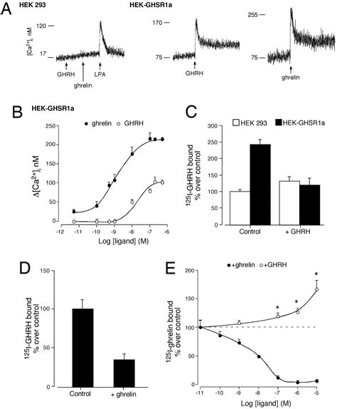 Growth Hormone Releasing Hormone As An Agonist Of The Ghrelin Receptor