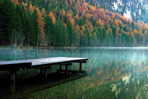 Free Images : tree, nature, forest, outdoor, wilderness, morning, leaf, pier, river, pond ...