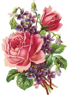 10 großblütige rote edelrosen der sorte red naomi ®. Die 15 besten Bilder von Rose gezeichnet | Blumen zeichnen ...