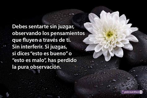 85 Frases Zen Inspiradoras Para Meditar