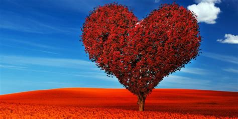 Slika čudovito drevo v obliki srca | Dovido.si