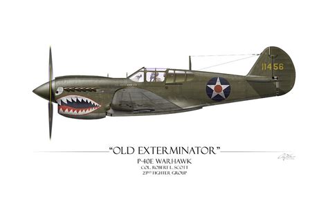 Old Exterminator P 40 Warhawk White Background Painting By Craig Tinder