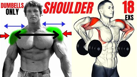 18 Best Shoulders With Dumbells Only Les Meilleurs Exercises Musculation épaules Avec Haltères