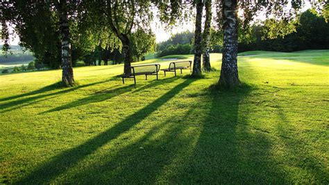 Two Brown Benches Bench Trees Grass Hd Wallpaper Wallpaper Flare