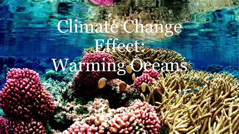 Obj 11 Climate Change Warming Oceans Student Powerpoint Cromwell