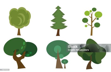 Different Kinds Of Tree Illustration Vector Trees With Leaves And No