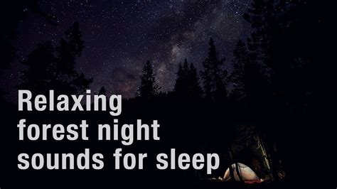 Nature Sounds 3 Hours Of Peaceful And Relaxing Nighttime Forest Ambience