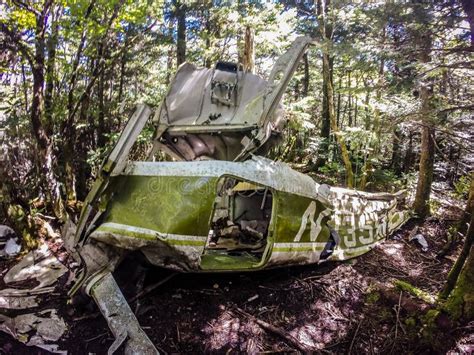 Old Plane Crash Slowly Dissolves In The Forest Stock Photo Image Of