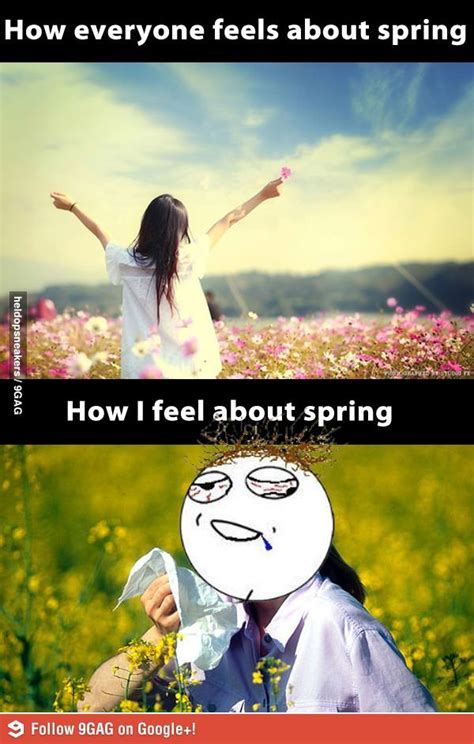 Hayfever Ruins Spring Allergy Season Funny Memes