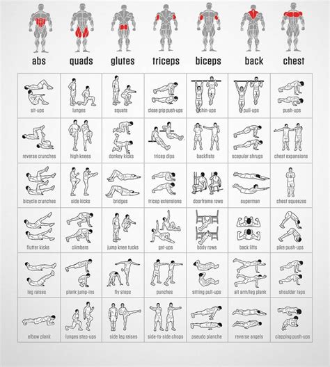 Workout Challenge Workout Plan Workout Tips Muscle Groups To Workout