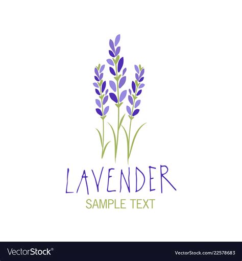 lavender flower logo design text hand drawn vector image