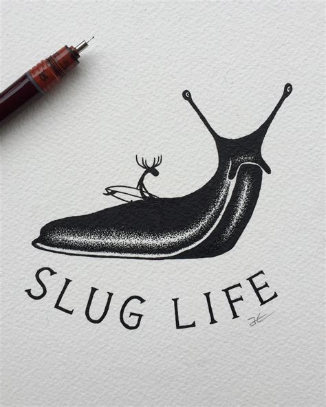 Slug Sketch At Explore Collection Of Slug Sketch