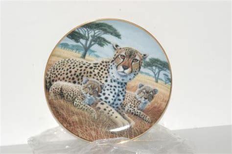 cub cubs of the big cats princeton gallery porcelain plate ebay