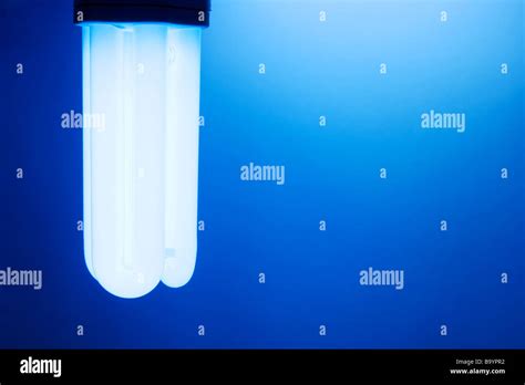 Compact Fluorescent Light Bulb Stock Photo Alamy