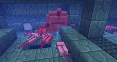 Blue Axolotl Minecraft Linux Consultant