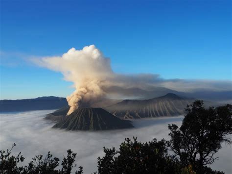 Volcanoes May Have Caused Mass Animal Extinction Research